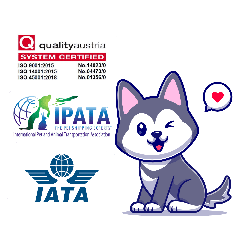 Homepage Bliss Pet Services