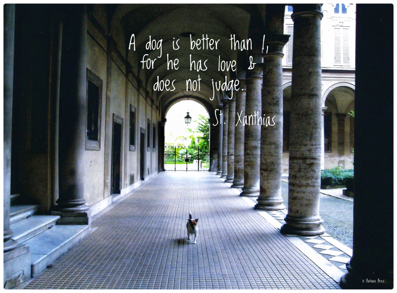 As Sounding Brass Blisswood