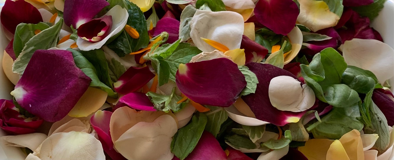 Drying the Flowers From the Cross Blisswood