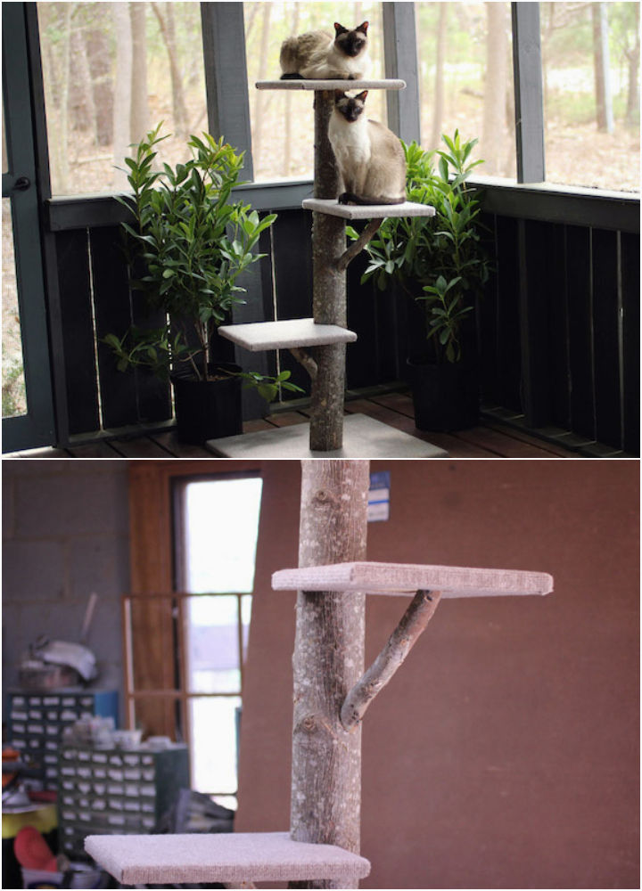 25 Free DIY Cat Tree Plans with Detailed Instructions Blitsy