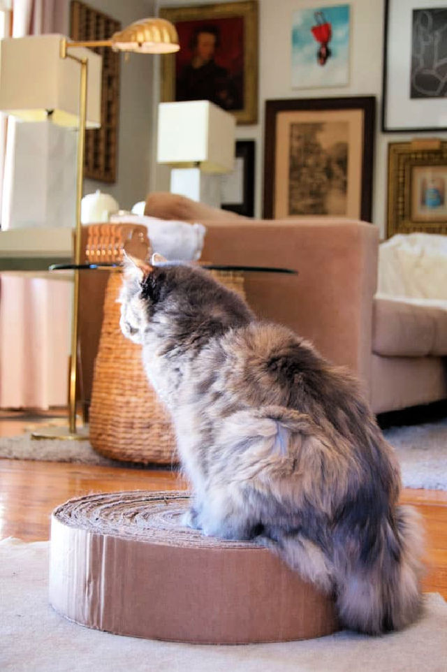 25 DIY Cat Scratching Post Plans Blitsy