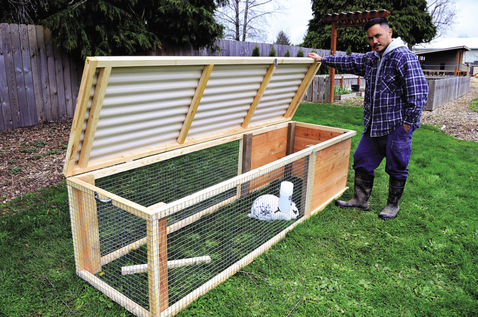 30 Free DIY Rabbit Hutch Plans You Can Build Blitsy