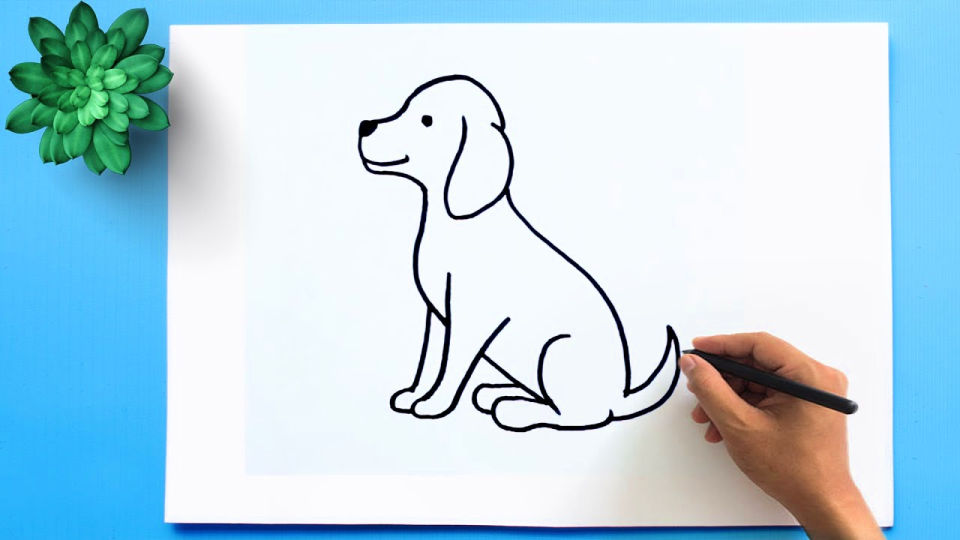 25 Easy Dog Drawing Ideas How to Draw a Dog