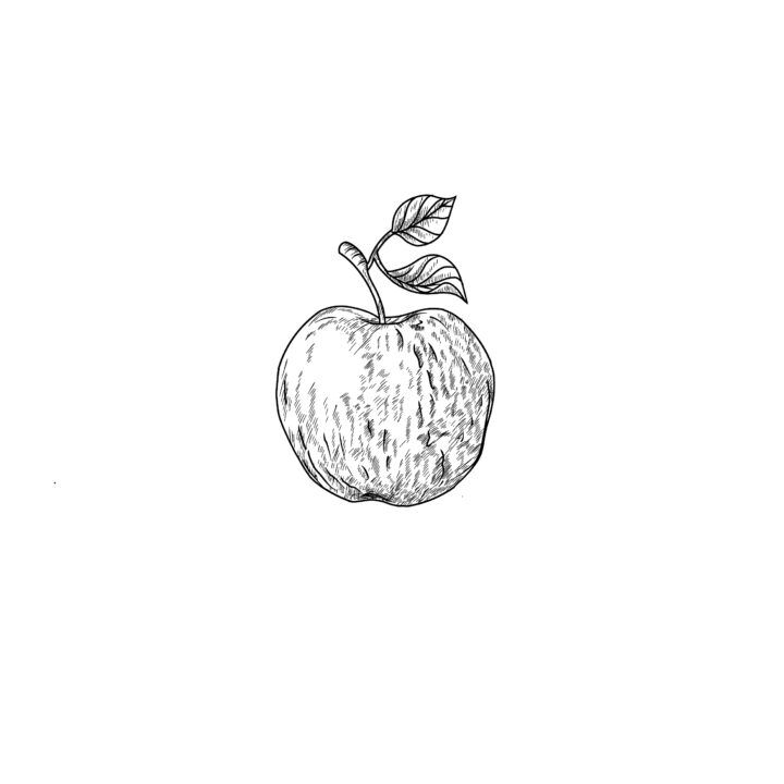 25 Easy Apple Drawing Ideas How To An Draw Apple Blitsy