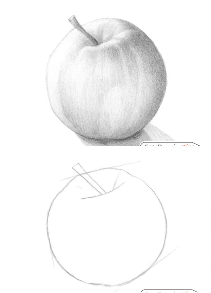 25 Easy Apple Drawing Ideas How To An Draw Apple Blitsy