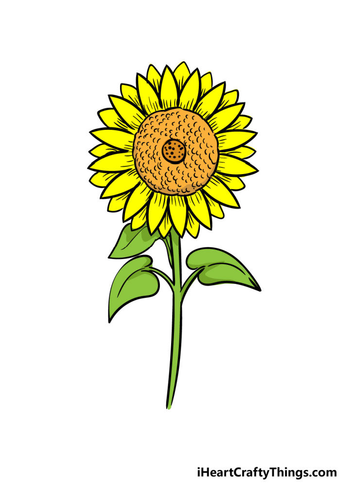 25 Easy Sunflower Drawing Ideas How to Draw a Sunflower