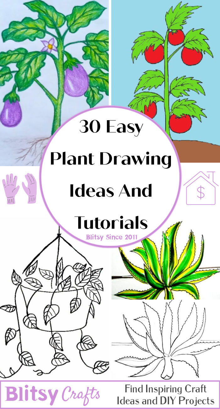 30 Easy Plant Drawing Ideas How to Draw a Plant