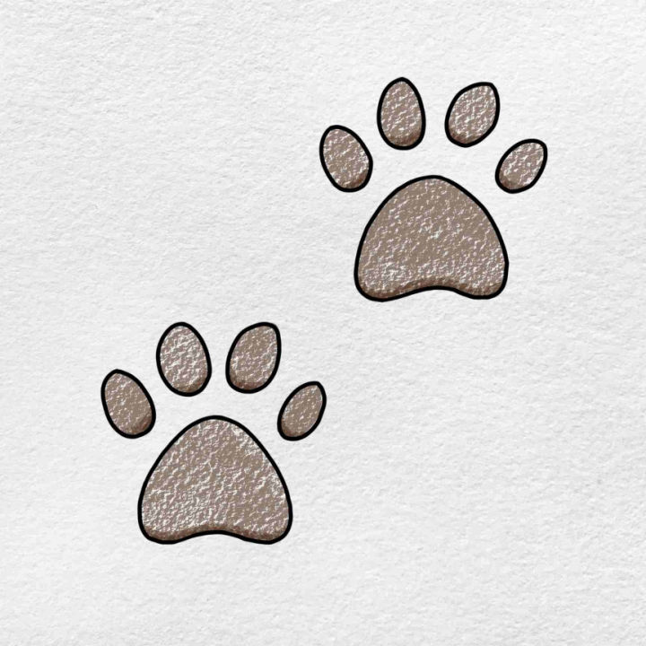 25 Easy Paw Print Drawing Ideas How to Draw