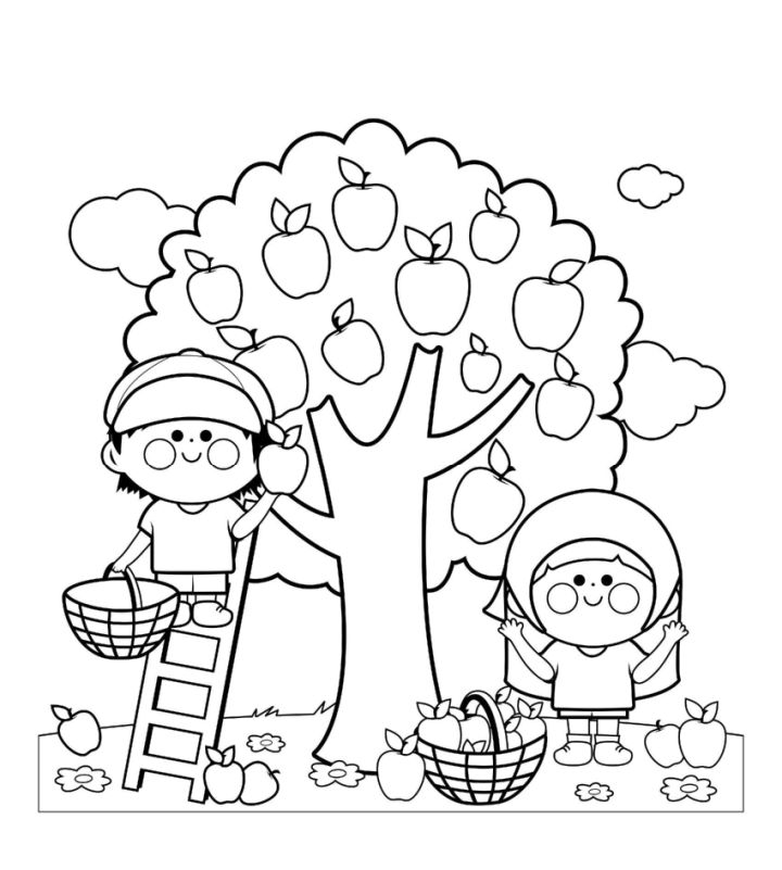 20 Free Apple Coloring Pages for Kids and Adults