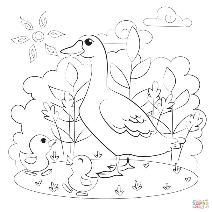 25 Free Duck Coloring Pages for Kids and Adults