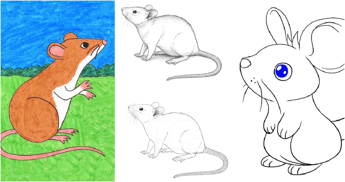 25 Easy Mouse Drawing Ideas How to Draw a Mouse