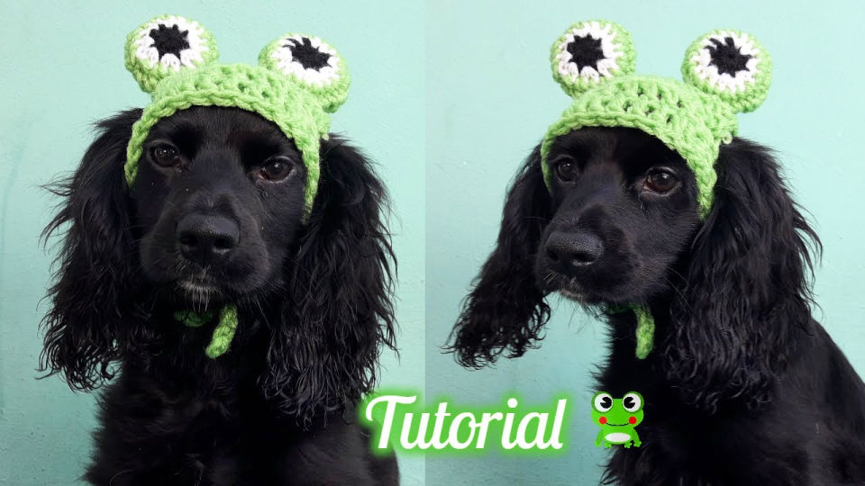 20 Free Crochet Dog Hat Patterns (Detailed Pattern) Blitsy