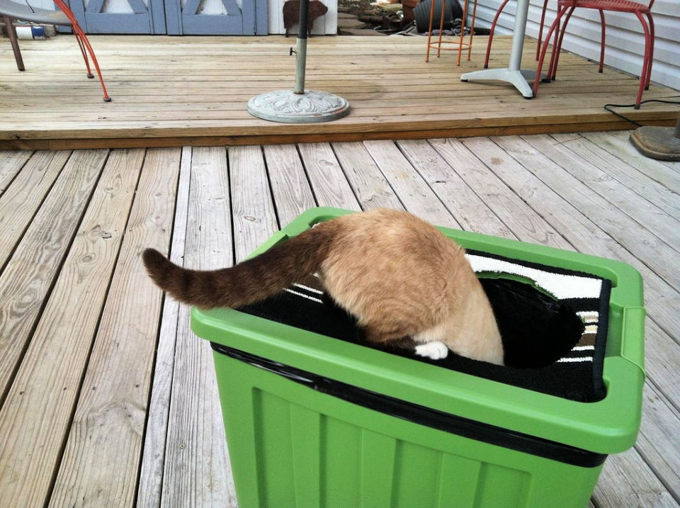 20 DIY Cat Litter Box Ideas + Hidden Litter Box Blitsy