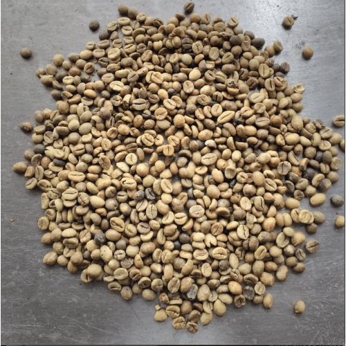 Robusta Coffee Beans Grade 3