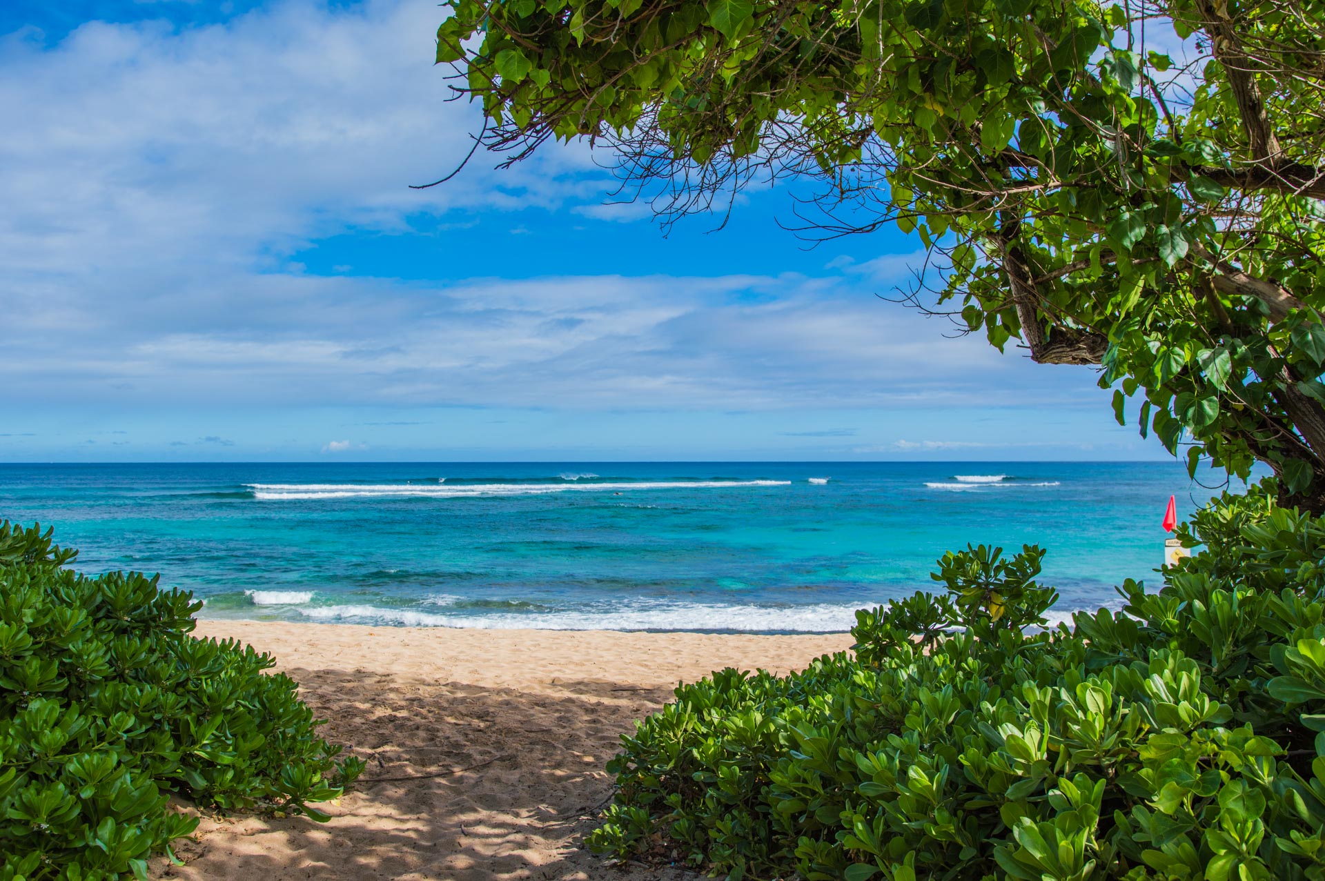 Our Favorite Oahu North Shore Beaches BLN