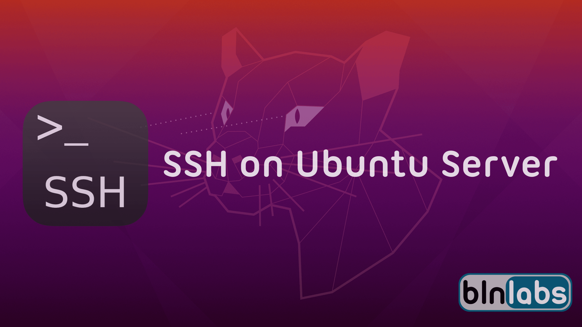 Mastering Remote IoT Web SSH On Ubuntu Your Ultimate Guide To Download