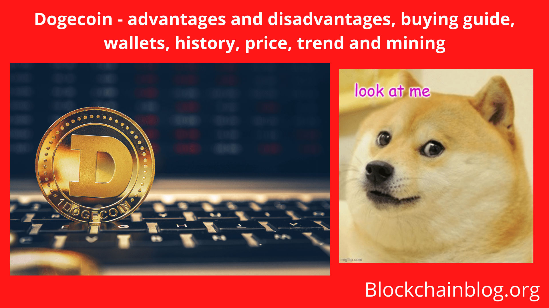 Dogecoin Advantages and Disadvantages, Buying Guide, Wallets, History