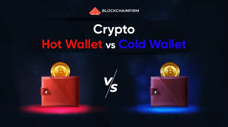Hot to cold Search for the options of crypto wallet for 2021
