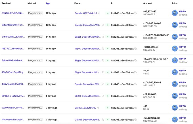 HIPPO Token Transfers Concentrate in One Wallet as Whale Accumulation Escalates 1 HIPPO Token Transaction Data Chart
