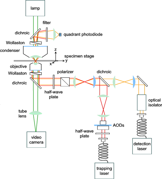 Block lab Optical tweezers