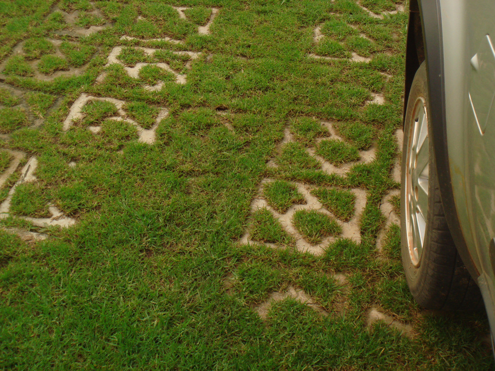 Lawn Pavers, Grass Blocks, Grass Pavers or Permeable Pavers? The