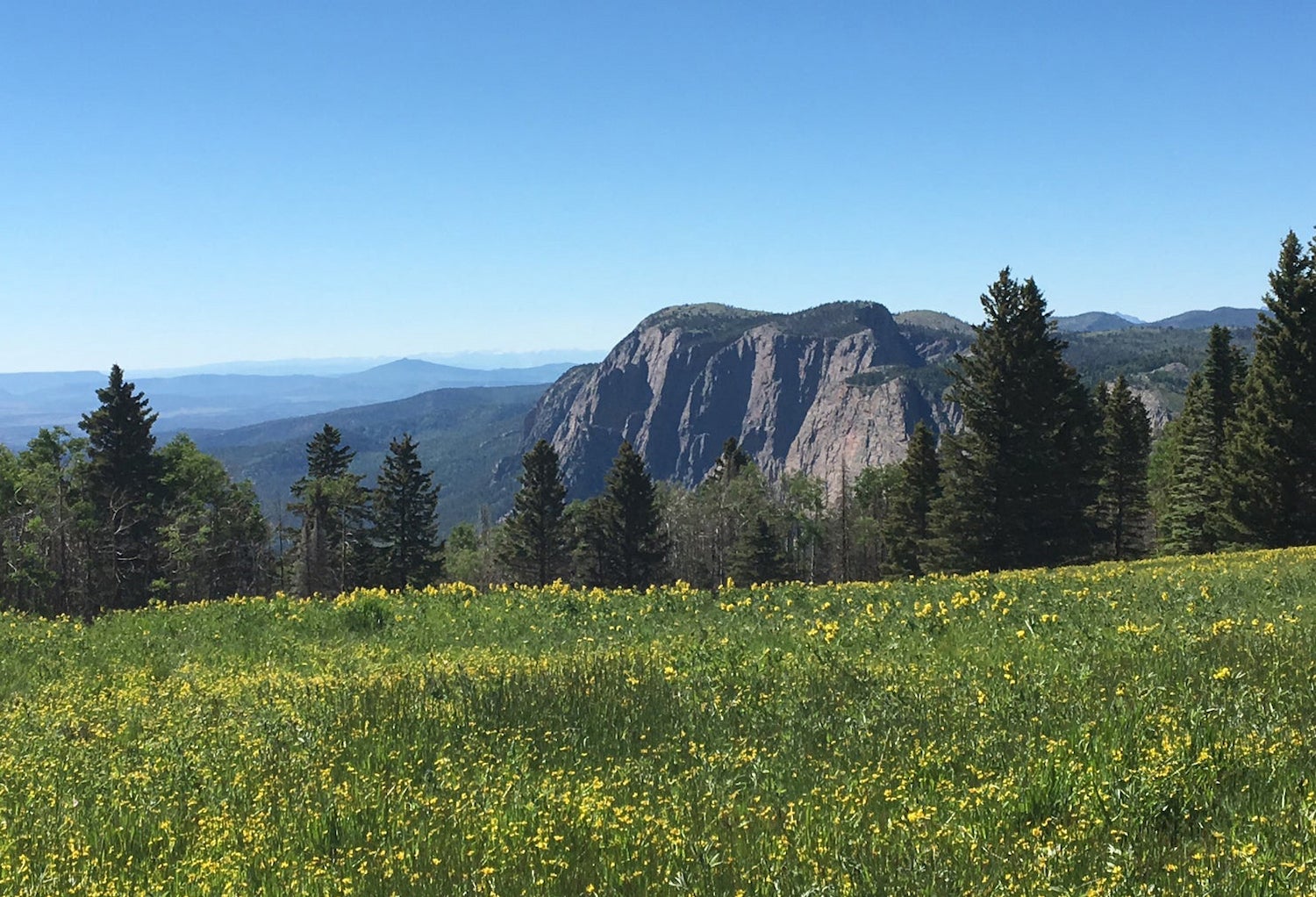 Carson National Forest Camping 7 Campgrounds in Northern New Mexico