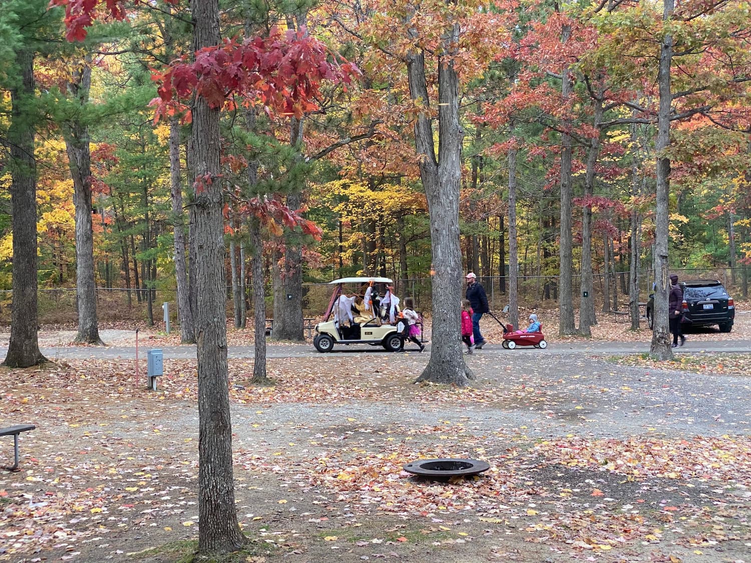 Enjoy the Lakes at These 7 Traverse City Camping Cabins
