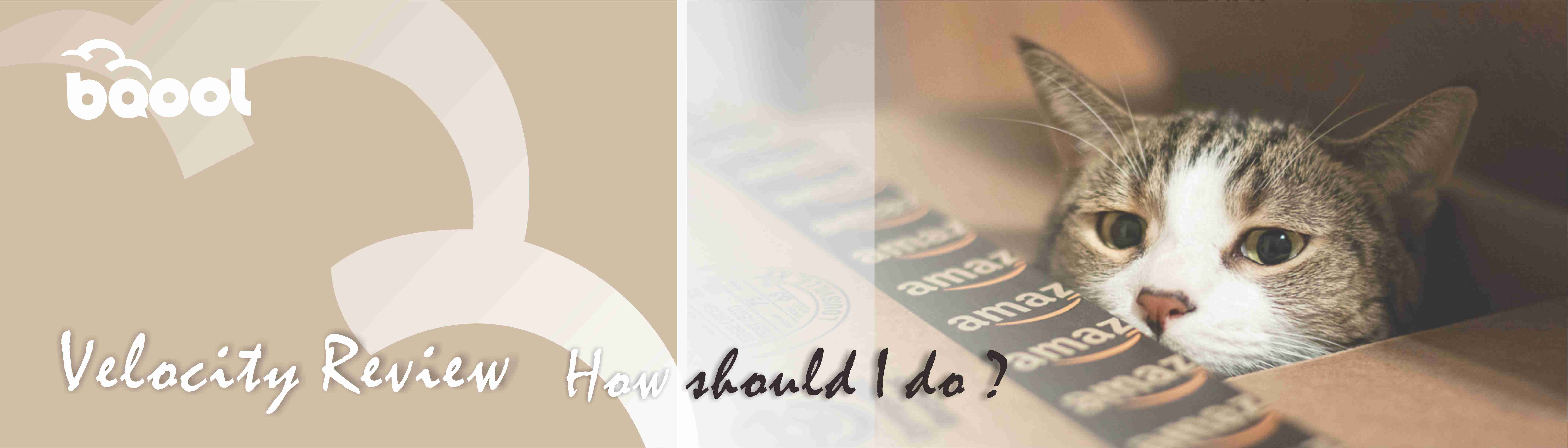 Velocity Review 通知！我帐号被亚马逊冻结该怎么办！－BQool 比酷尔