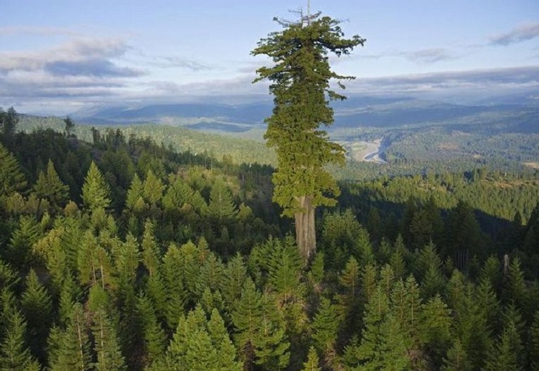 The world’s highest, tallest and largest wonders! ixigo Travel Stories