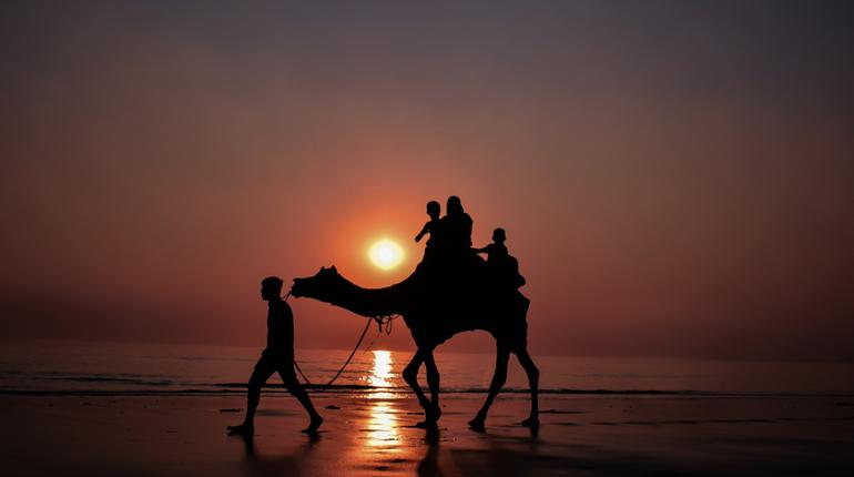 Amazing places to visit by bus near Mumbai ixigo Travel Stories