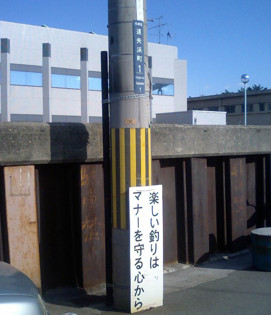 【人気ダウンロード！】 遠矢浜 釣り 265712遠矢浜 釣り 事故 Irasujozqmit