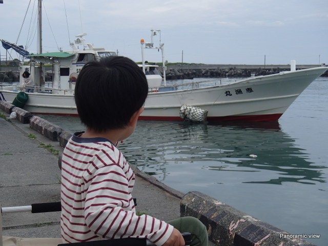 吉田港で末っ子が釣りデビュー（4/29） Panoramic View