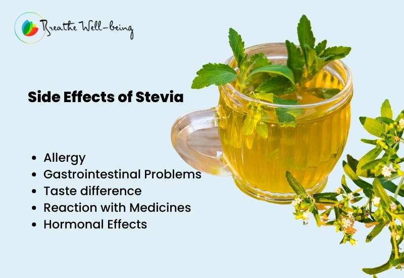 Stevia and Diabetes Benefits, Side Effects, Uses & More