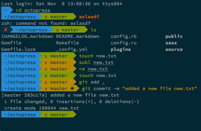 Ohmyzsh, avoid the status check of a git repo