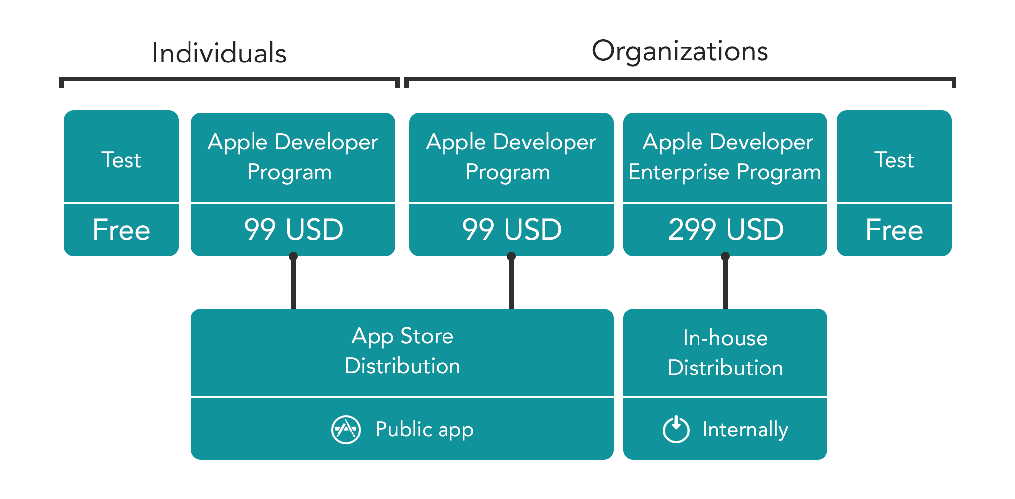Find which Apple Developer Program you need 4D Blog