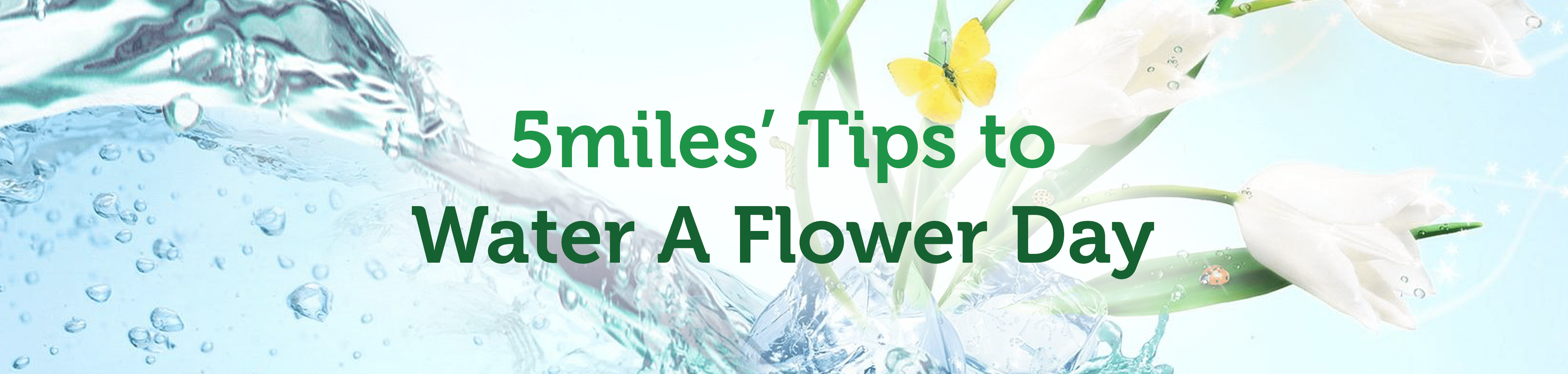 5miles' Tips to Water A Flower Day 5miles