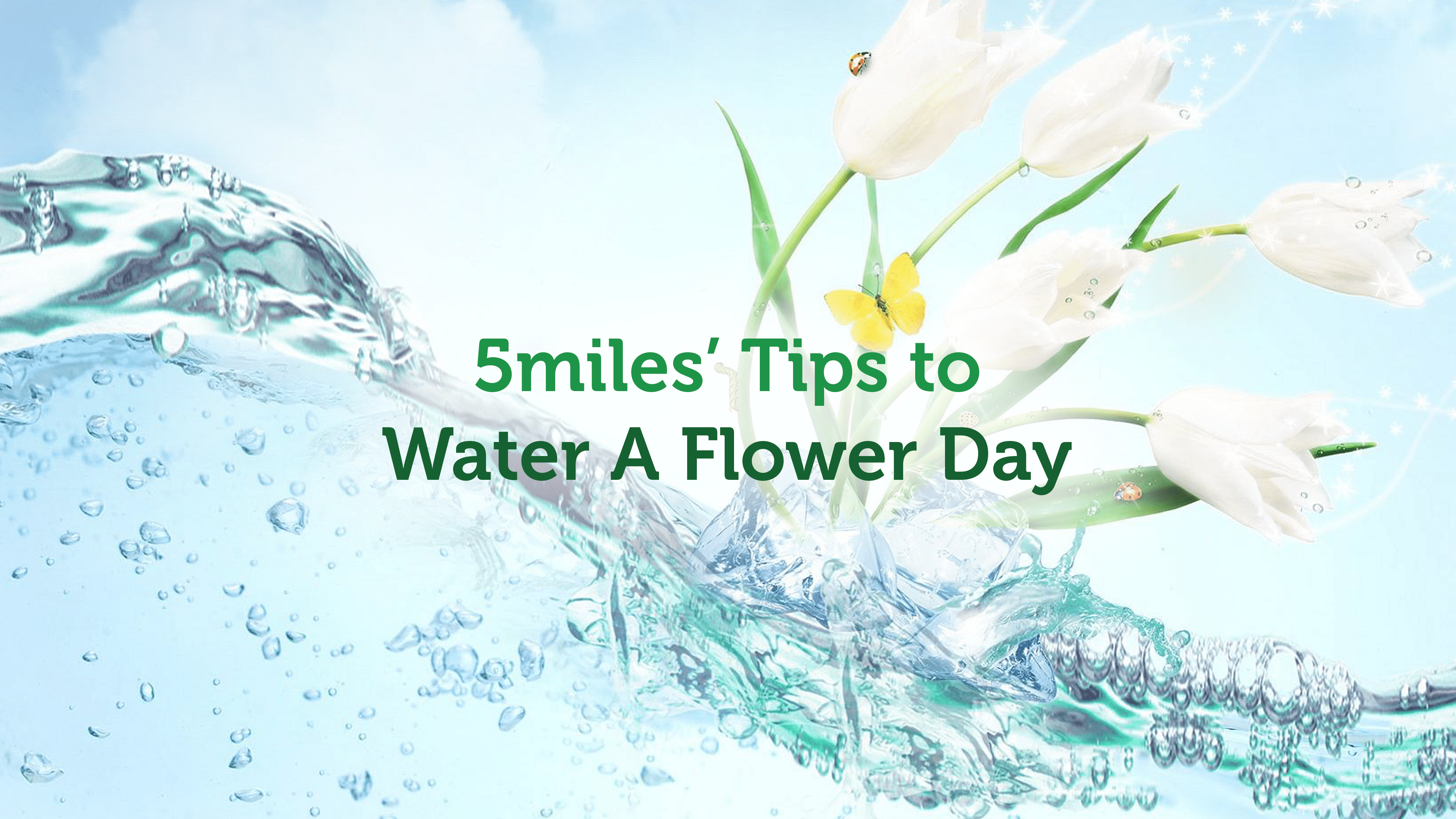 5miles' Tips to Water A Flower Day 5miles