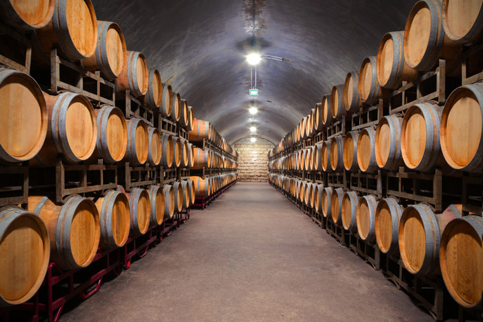 Exploring Bodegas in Spain Spain Explained