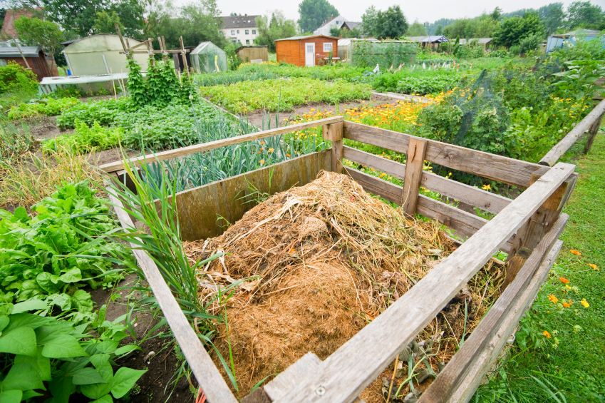 Does Compost Pile Attract Bugs at Stephanie Huerta blog
