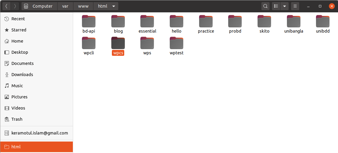 WordPress theme plugin unit test with PHPCS PHP_CodeSniffer Sourav