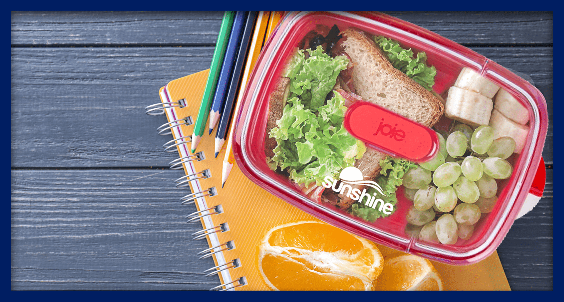 Best of the Best Lunch Containers