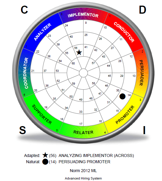 DiSC 101 How to Interpret the DiSC Personality Test for Sales
