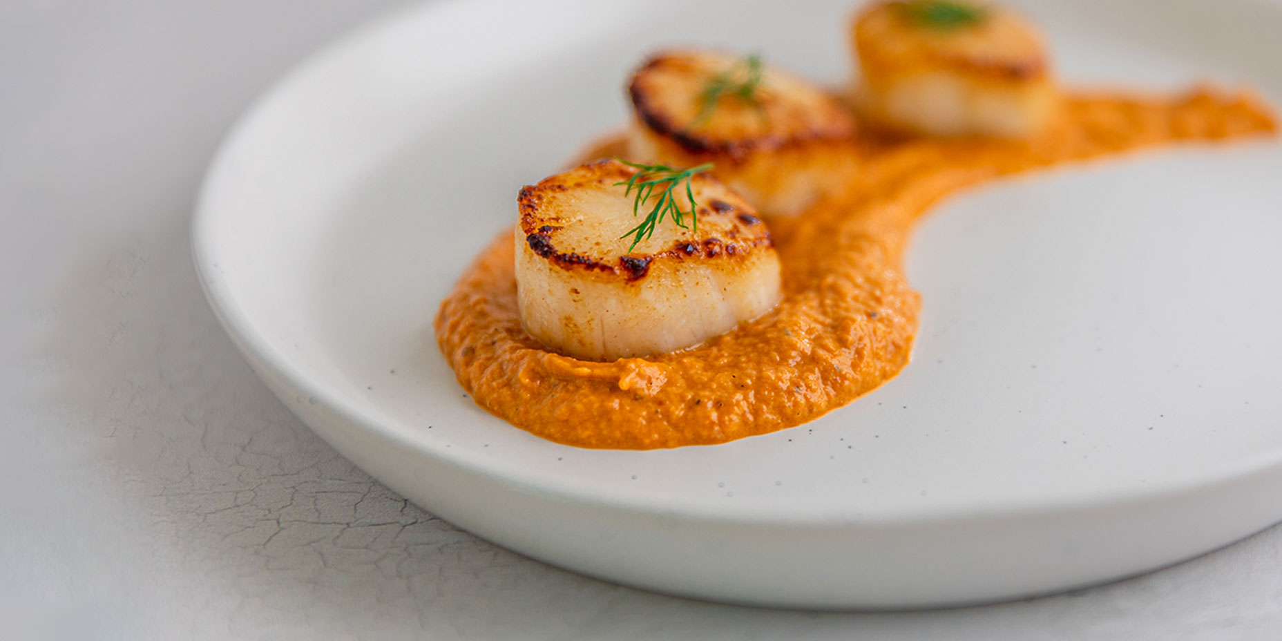Delicious, Healthy Seared Scallops & Soubise Sauce Recipe