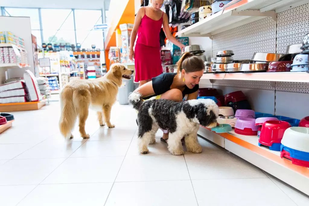 O mercado de pet shop no Brasil um panorama para investir Blog Alterdata