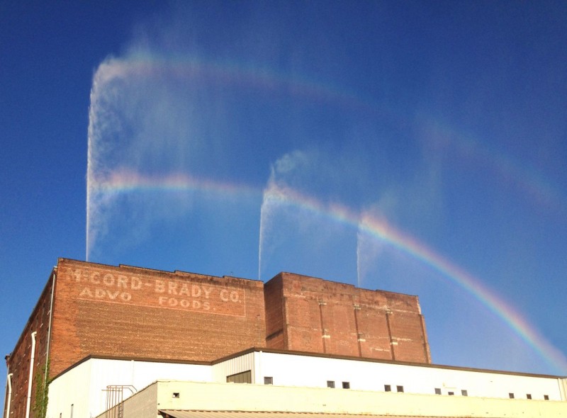 The Rainbow Goes Green