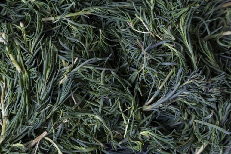 Romeritos, Traditional Mexican Vegetable Dish