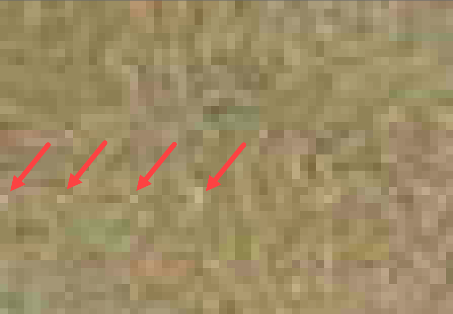 Amped Authenticate Update 11362 JPEG Dimples, Improved JPEG HT, Social