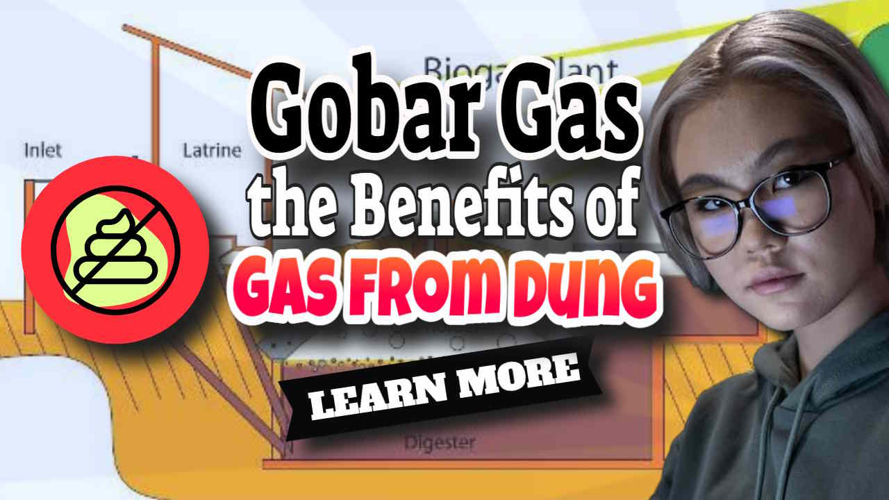 Gobar Gas the Benefits of Gas from Dung and Meaning of Gobar