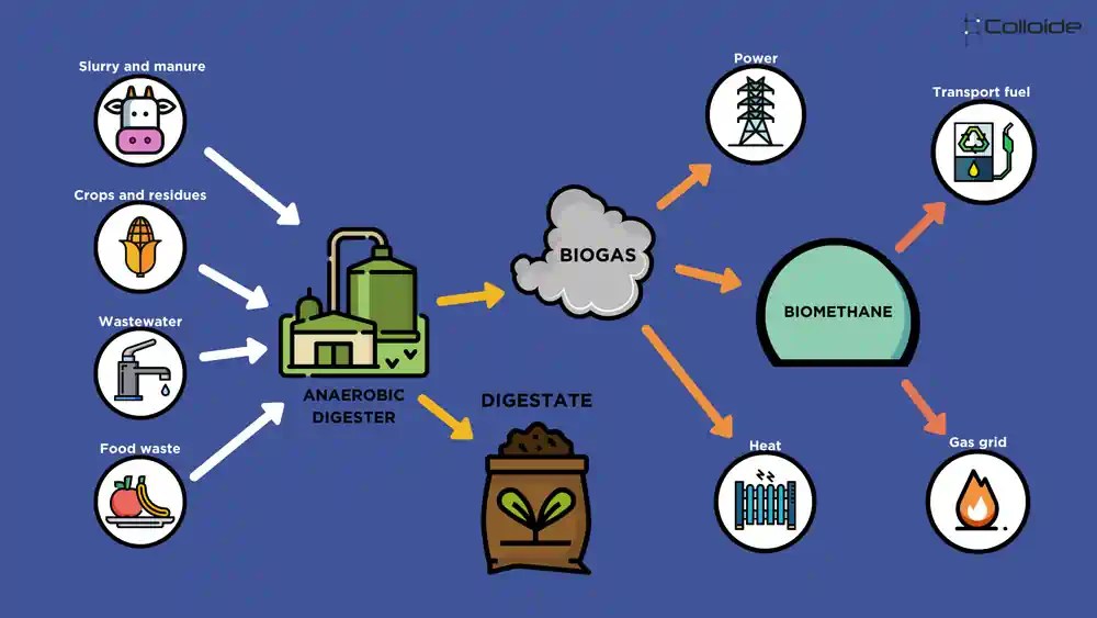 Digestate from Anaerobic Digestion