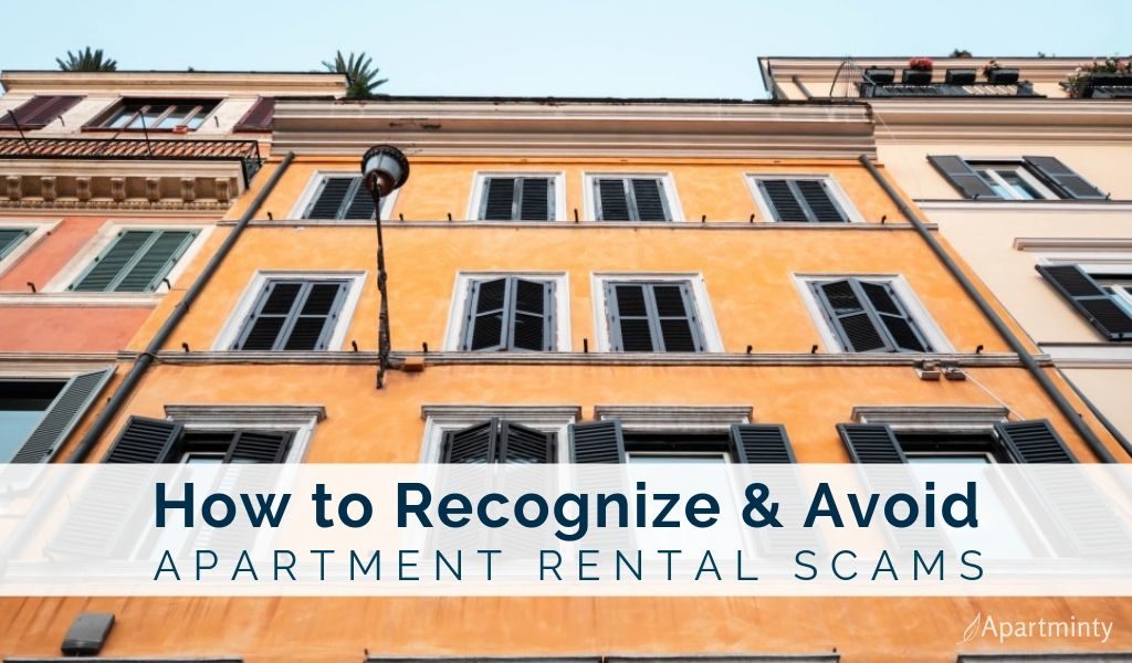 Where to Search for Apartments Apartment Search Engine Moving Guides